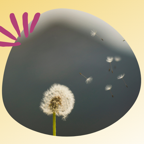 الصورة المصغرة للدورة