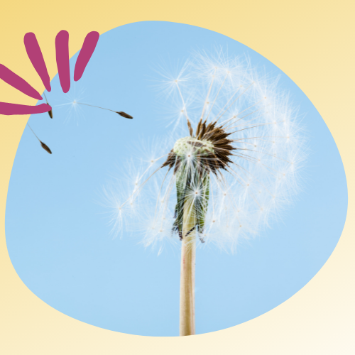 الصورة المصغرة للدورة